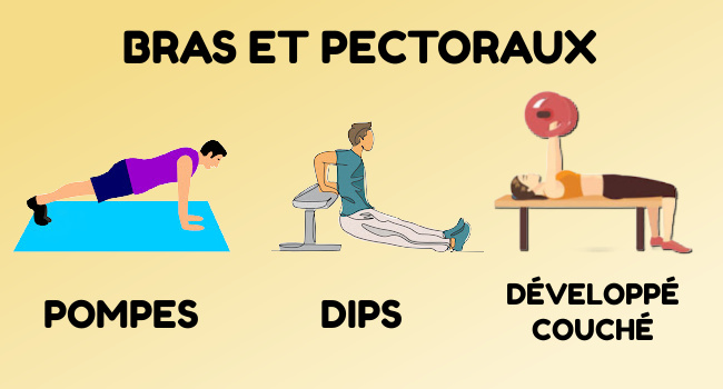 Exercices pour renforcer les bras et les pectoraux