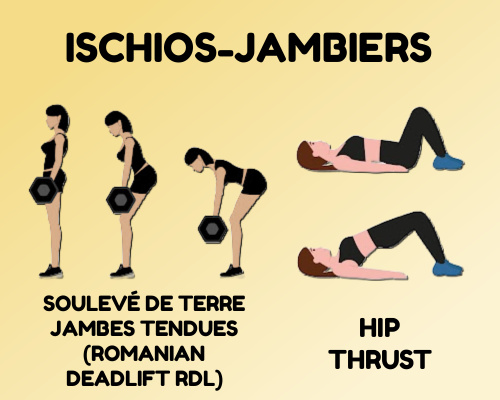 Exercices pour renforcer les ischios jambiers