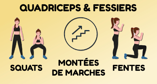 Exercices pour renforcer les quadriceps et les fessiers