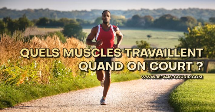 Course  pied et muscles : quels muscles travaillent quand on court ?